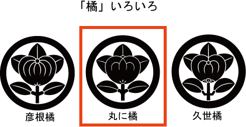 丸に橘(家紋による違い)